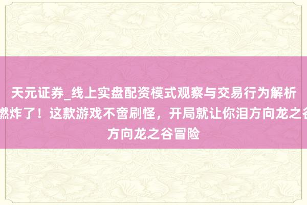 天元证券_线上实盘配资模式观察与交易行为解析报告 燃炸了！这款游戏不啻刷怪，开局就让你泪方向龙之谷冒险